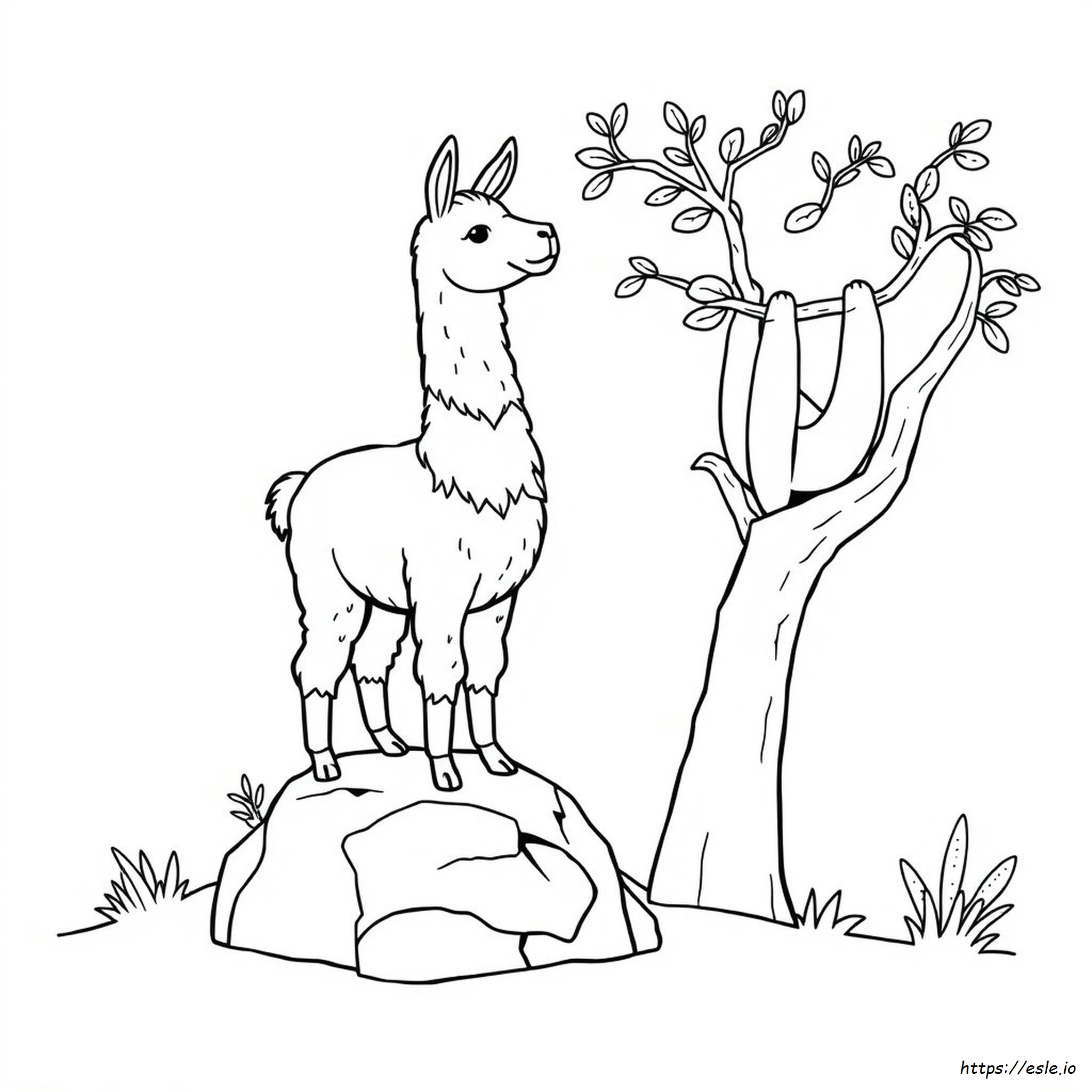 Llama And Sloth Coloring Pages