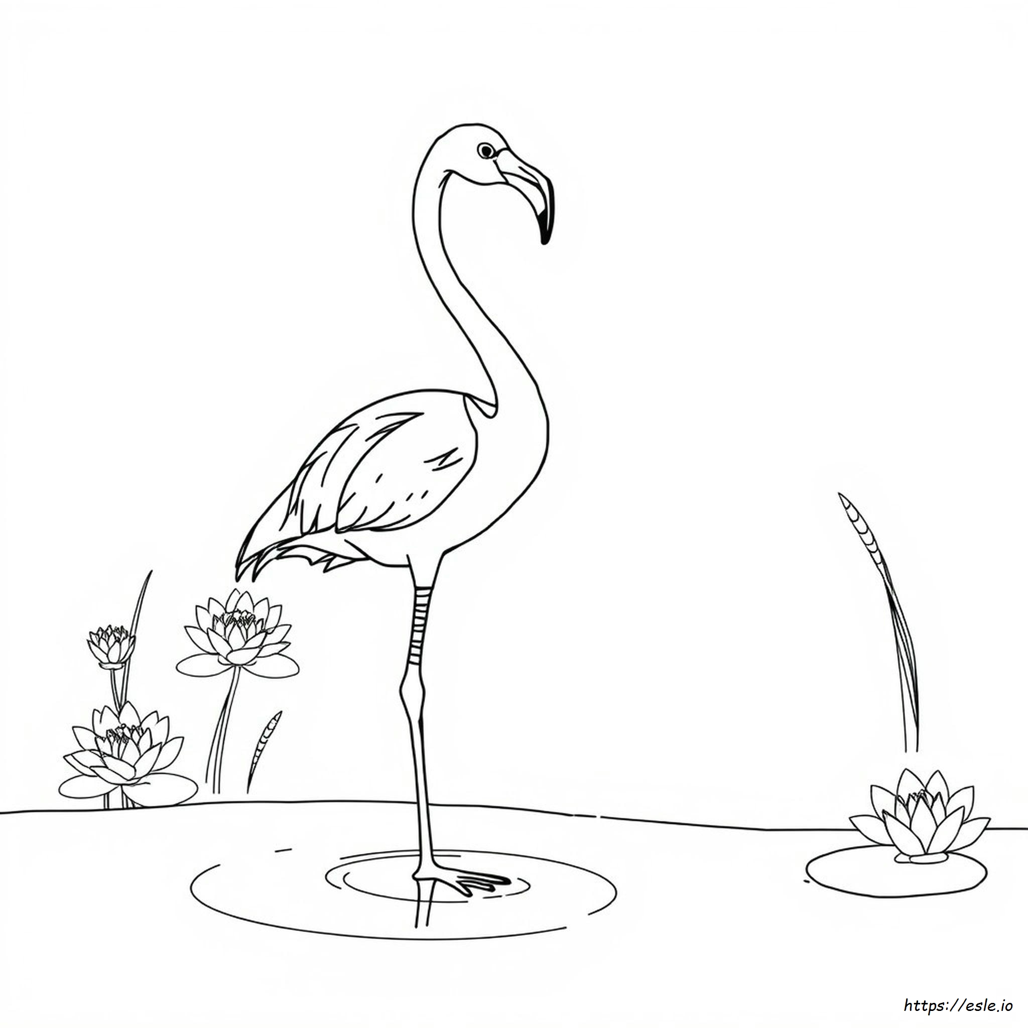 Flamingo Coloring Pages Free