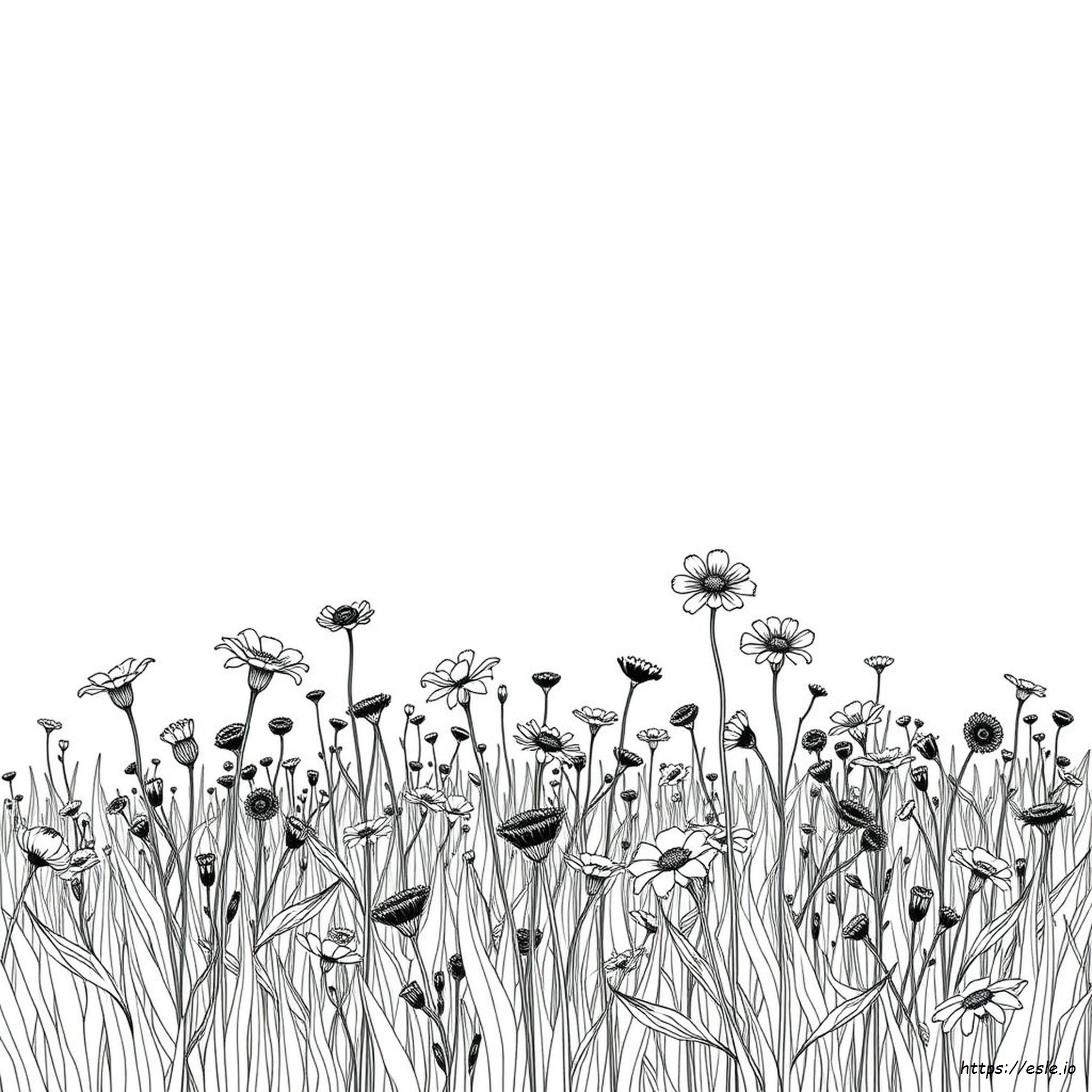 Coloring Pages Of Wildflowers