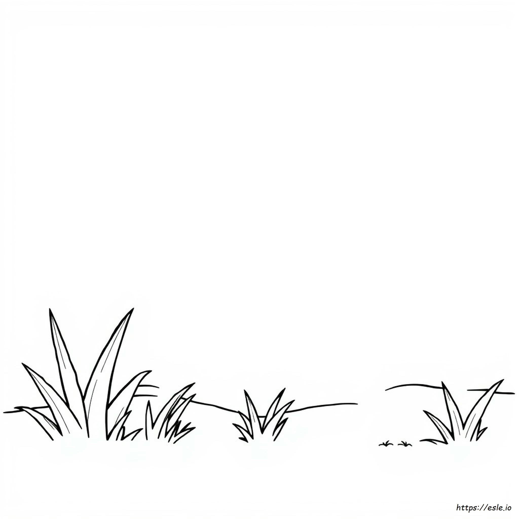 How To Color Gray Edges