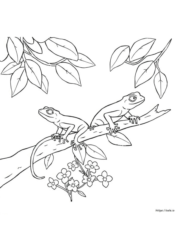 Gecko Ausmalbilder