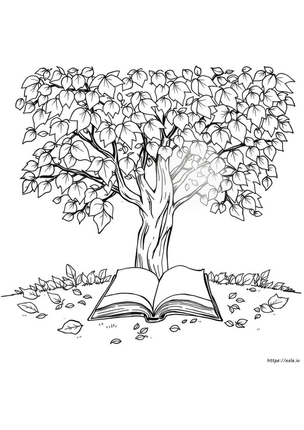August Coloring Pictures