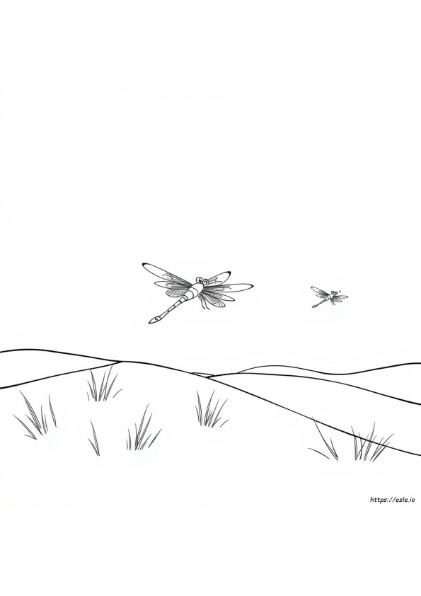 Sandwing Coloring Page