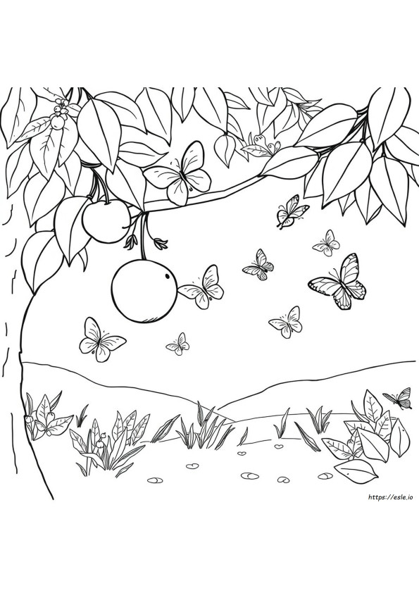 Fruit Colouring In