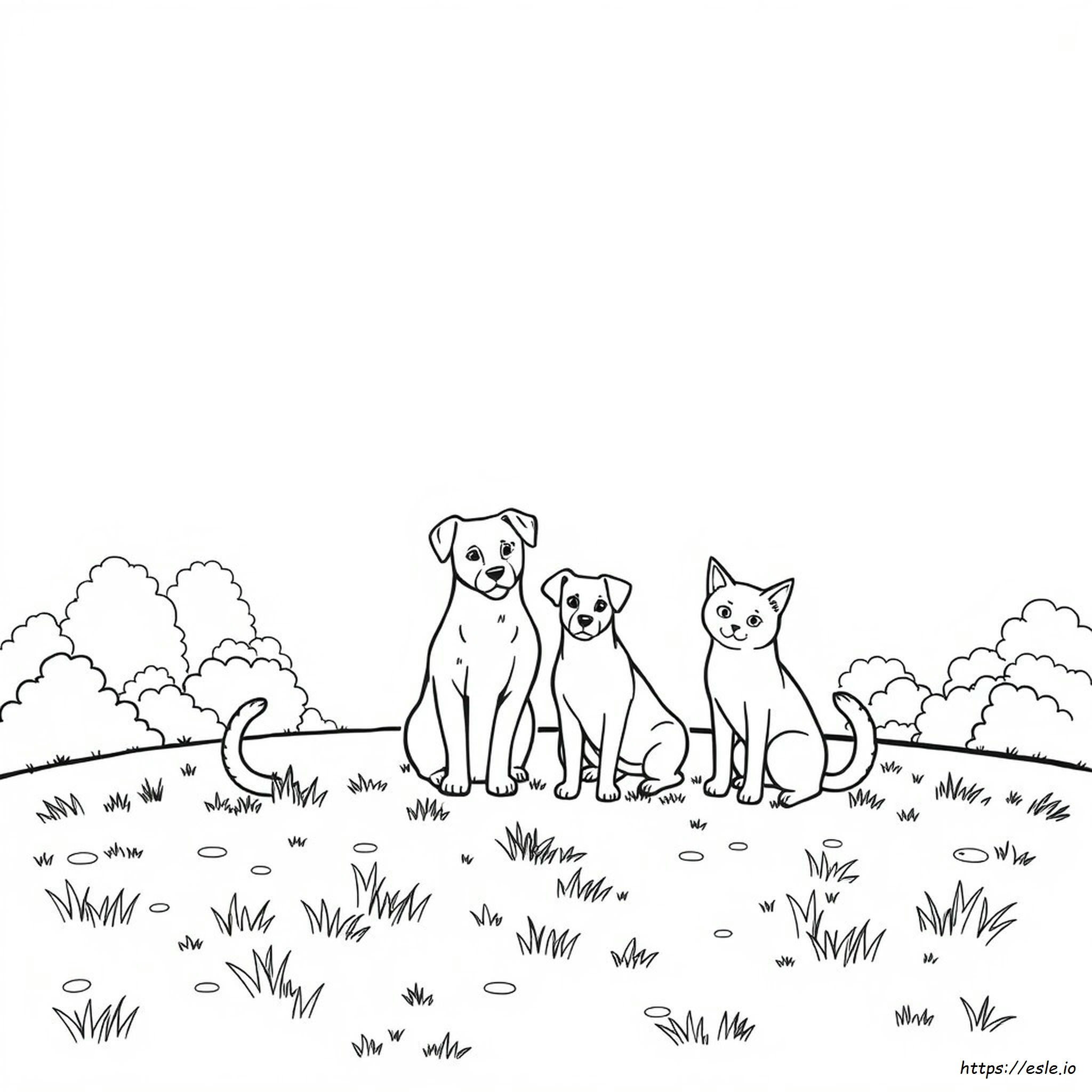 Dibujos Para Colorear De Perros Y Gatos