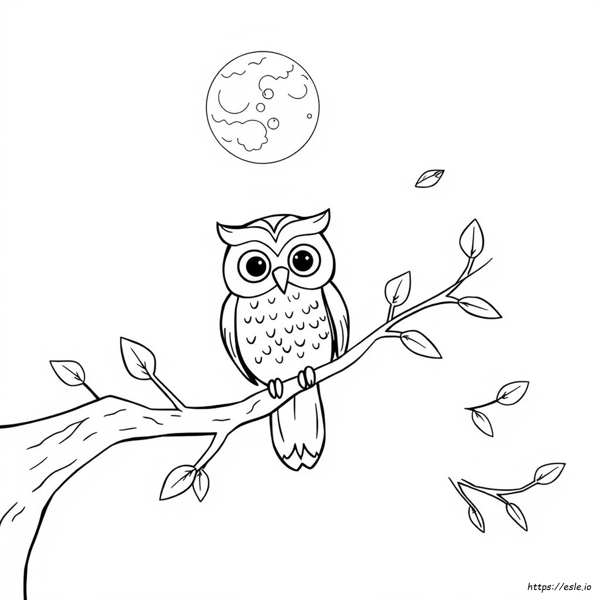 Cute Owl Coloring Pages To Print