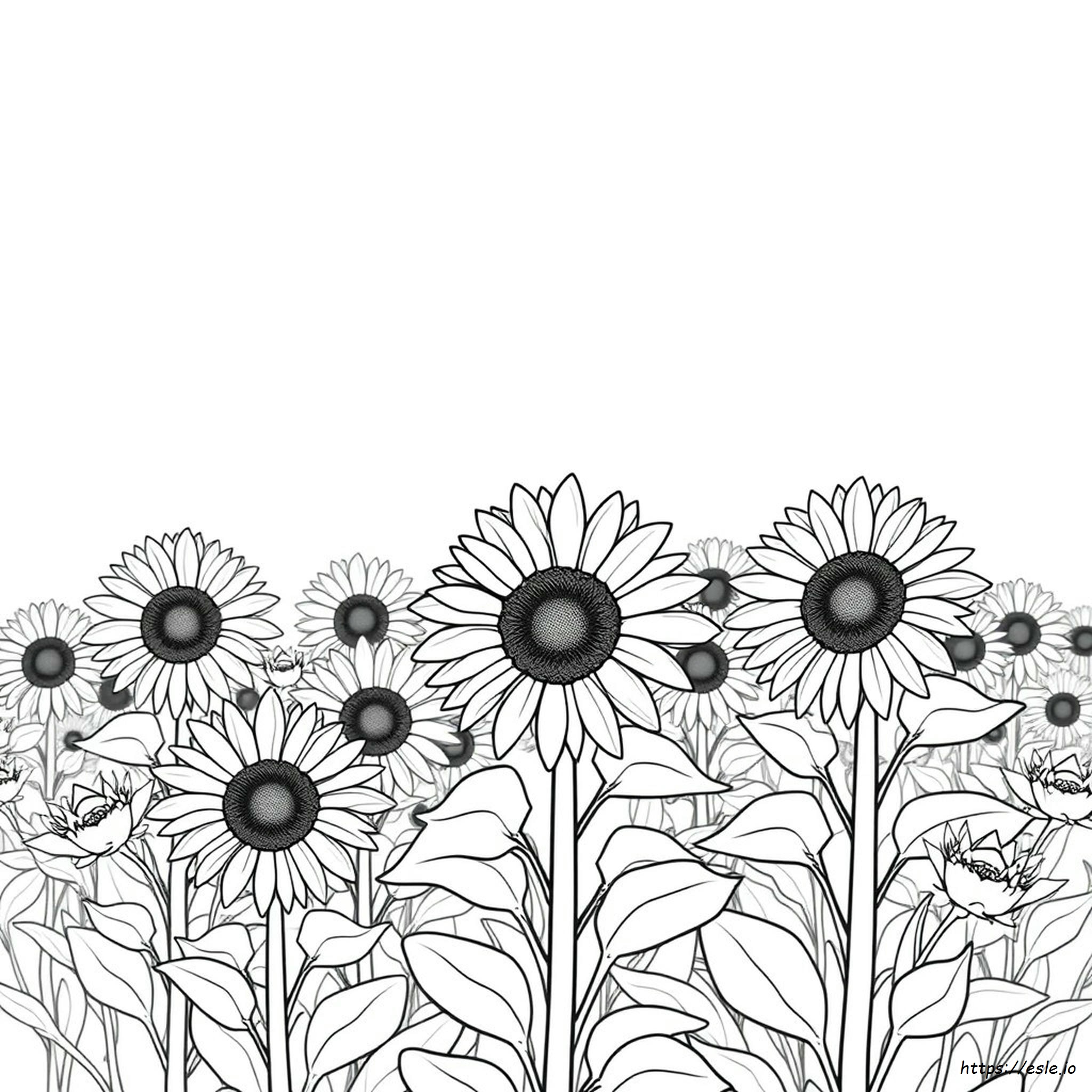 Stress Relief Bold Easy Coloring Book Pages