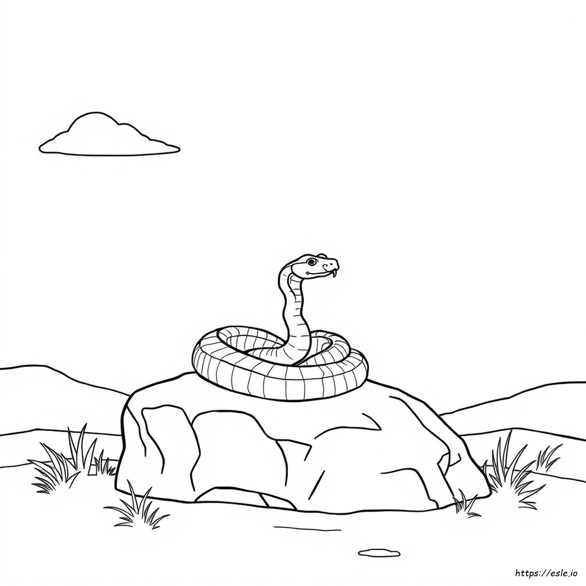 Disegni Da Colorare Di Serpenti