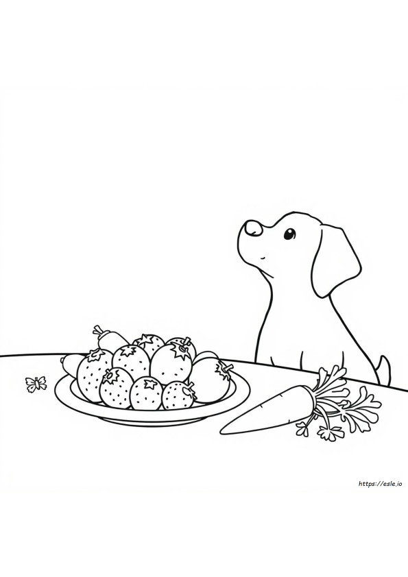 Le Colorant Alimentaire Est-Il Mauvais Pour Les Chiens