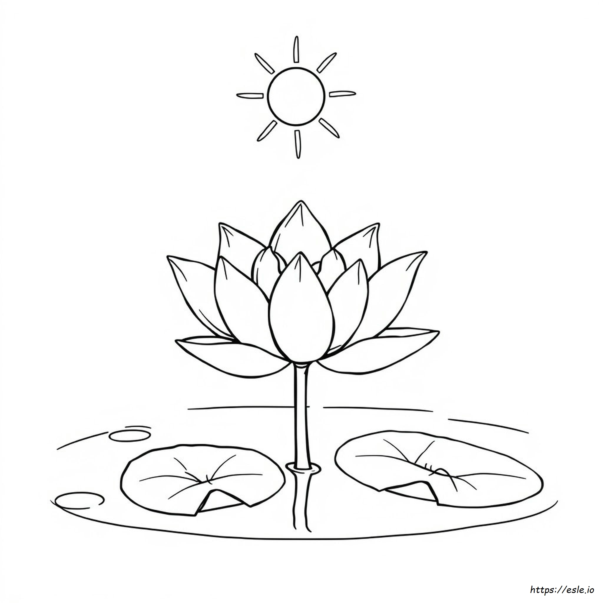 Coloring Pages Lotus Flower Drawing Colour