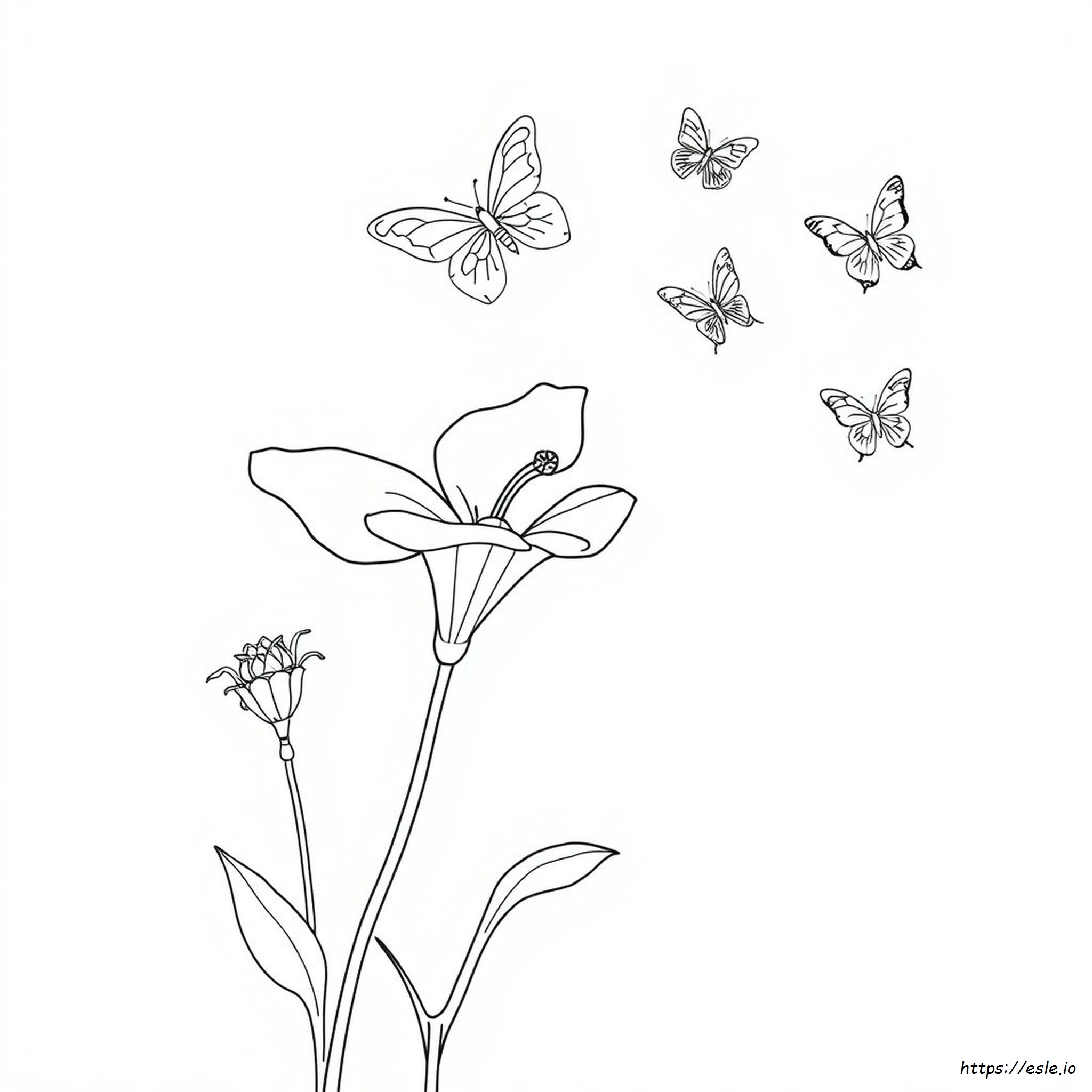 Coloring Page Bunga Matahari