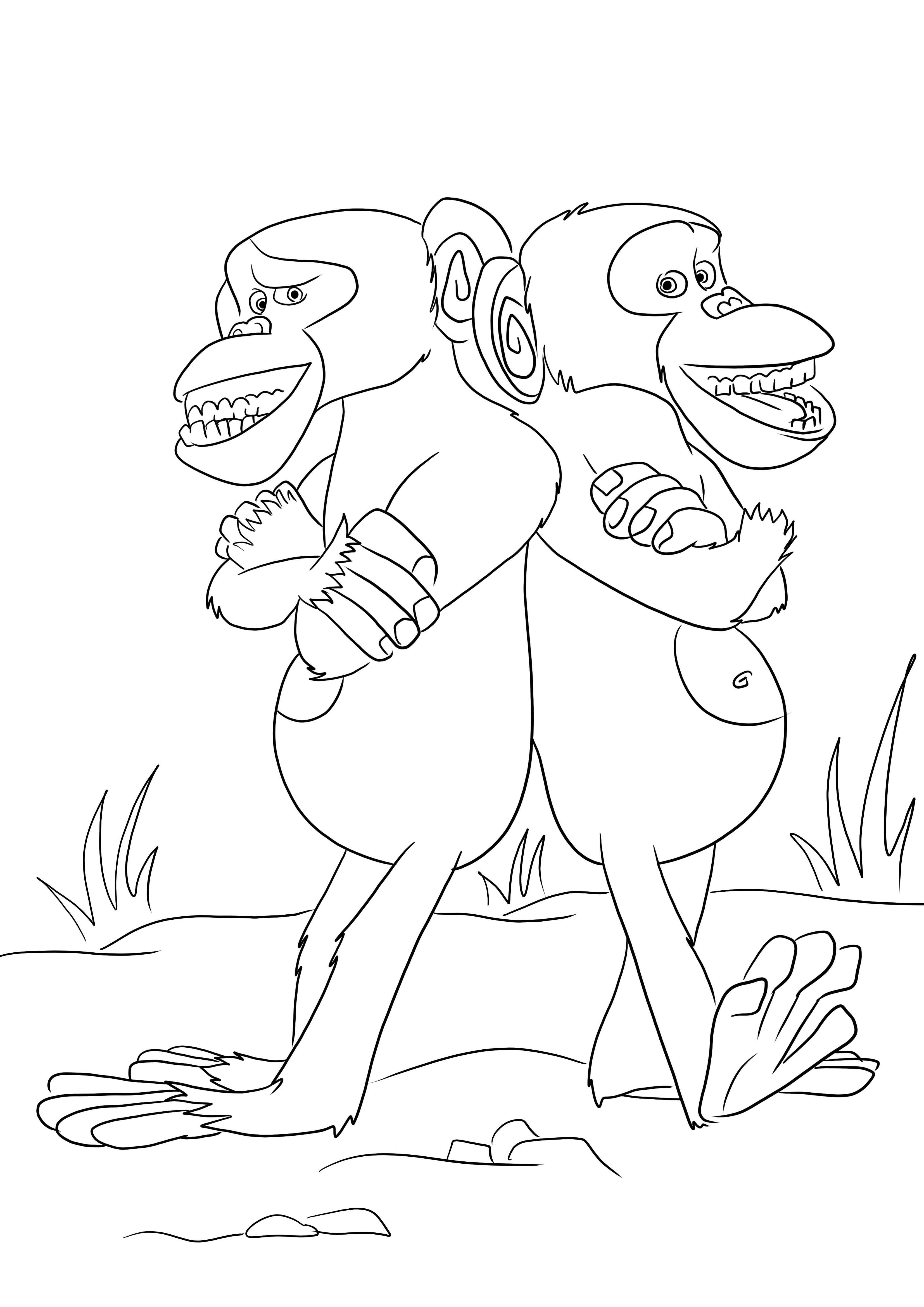 Das Ausmalbild „Mason und Phil – die beiden lustigen Affen“ kann kostenlos heruntergeladen werden