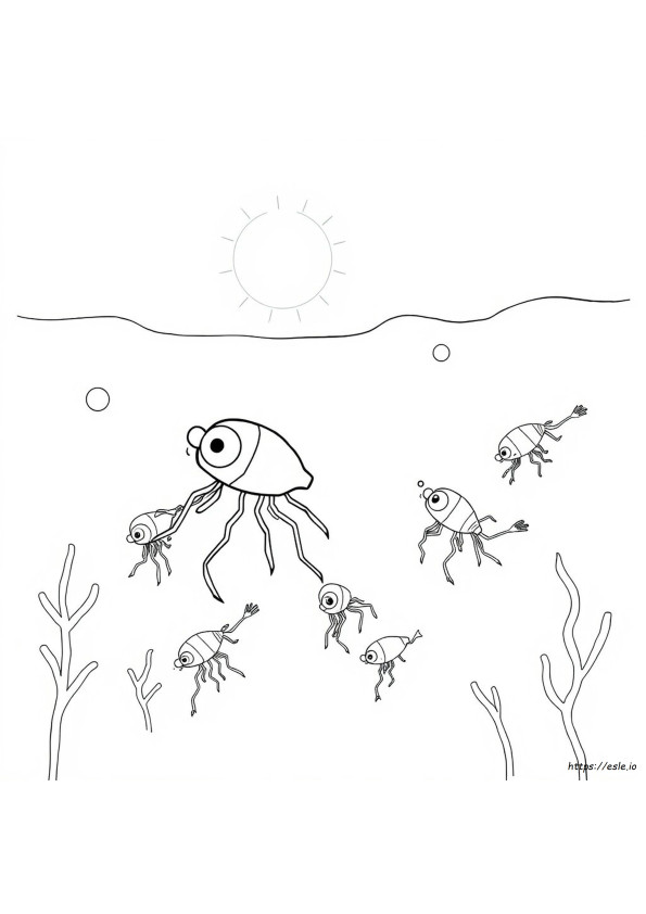 Plankton Disegni Da Colorare