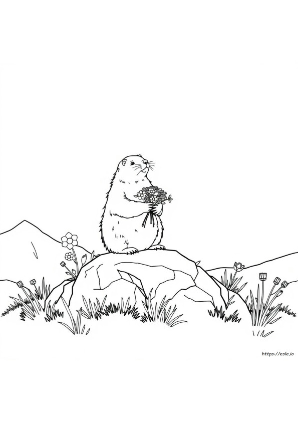 Coloriage Marmotte