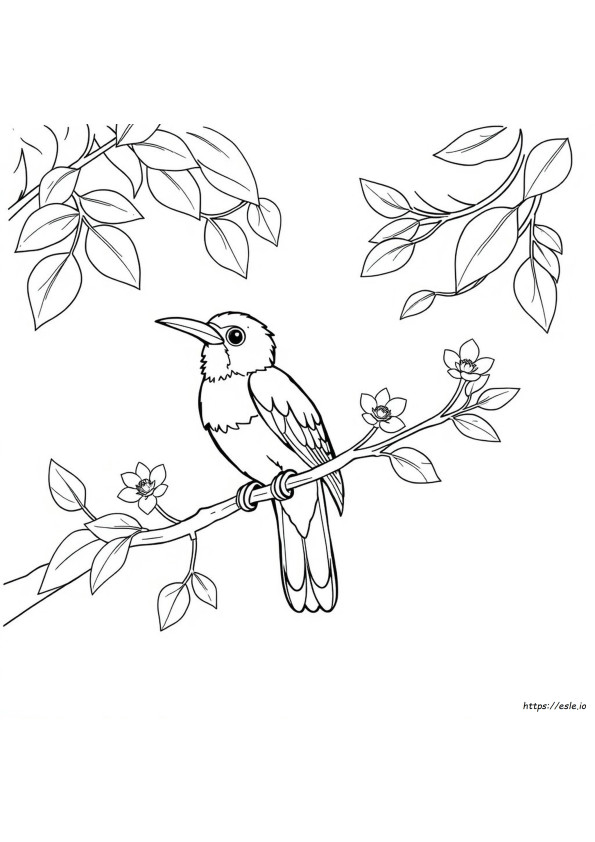 Coloriage Perroquet Cacatoès