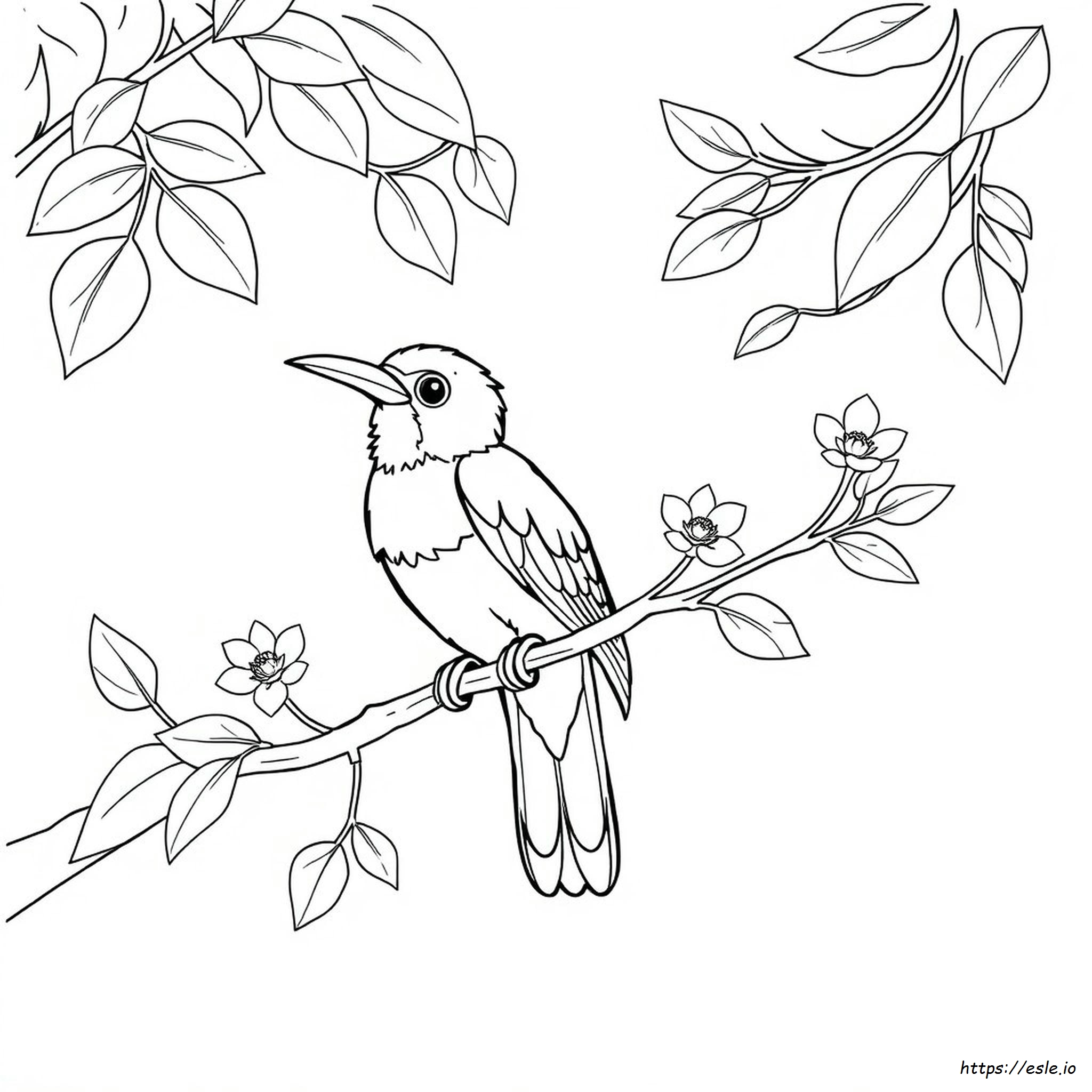 Burung Kakak Tua Colouring