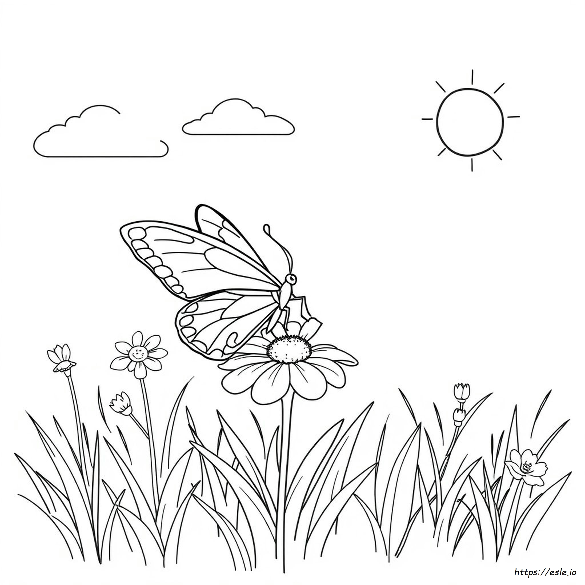 Desene De Colorat Cu Fluturi Desene De Colorat Cu Fluturi