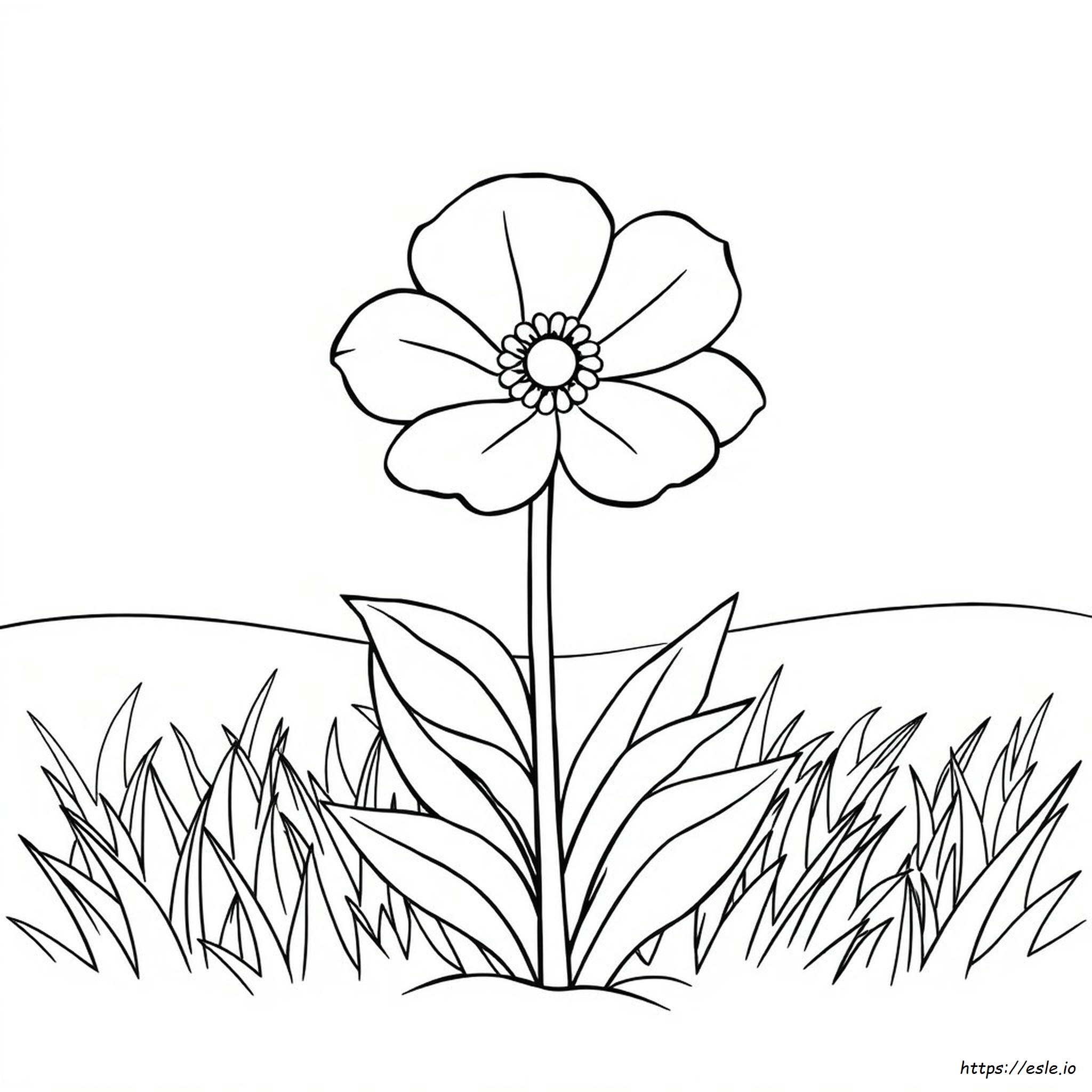 Fiori Grandi Da Colorare E Stampare
