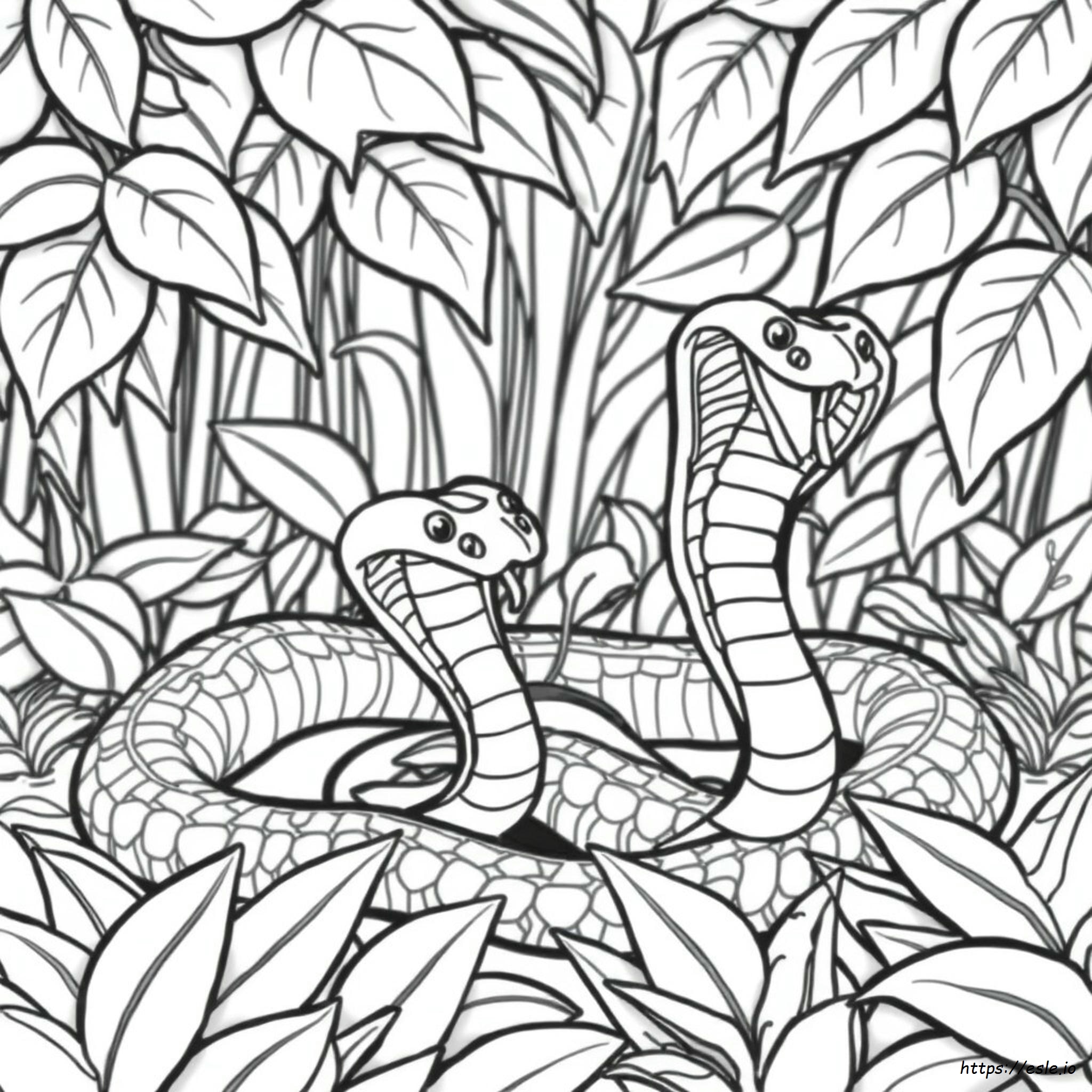 Cobra Coloring Picture