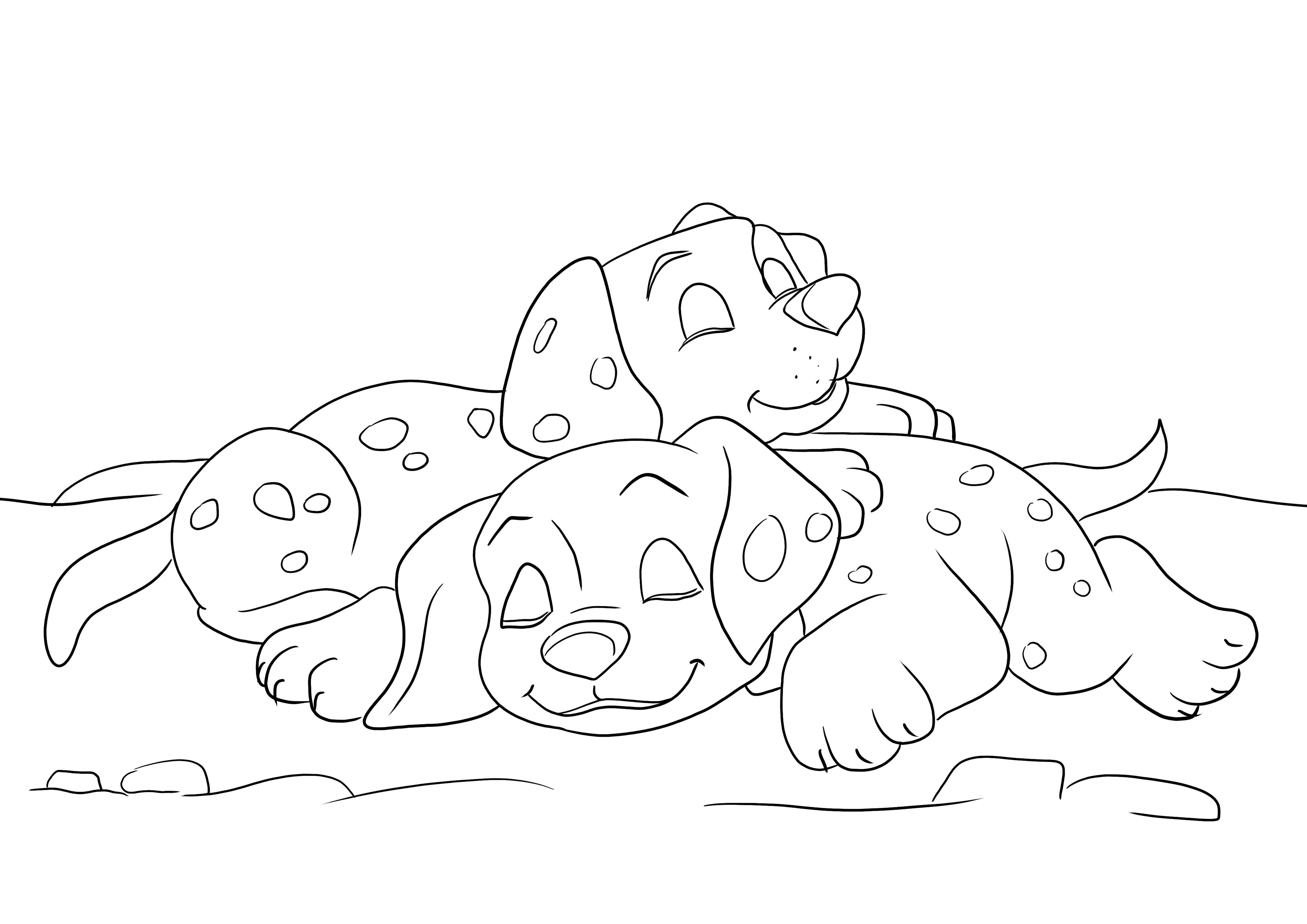 Cuccioli di dalmata addormentati gratis da stampare e immagine facile da colorare