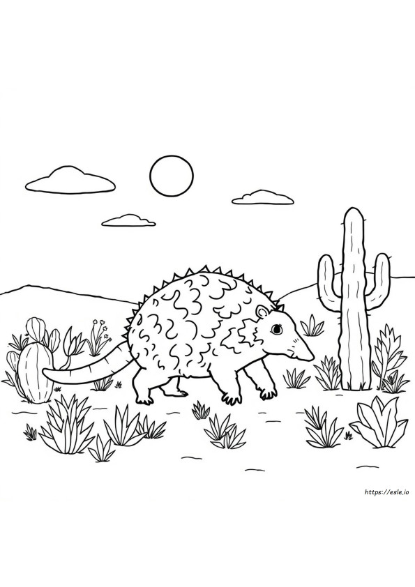 Armadillo Coloring