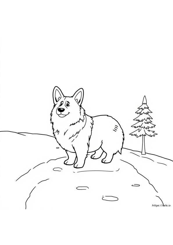 Corgi Tüyleri Renk Değiştirir Mi Boyama Sayfası