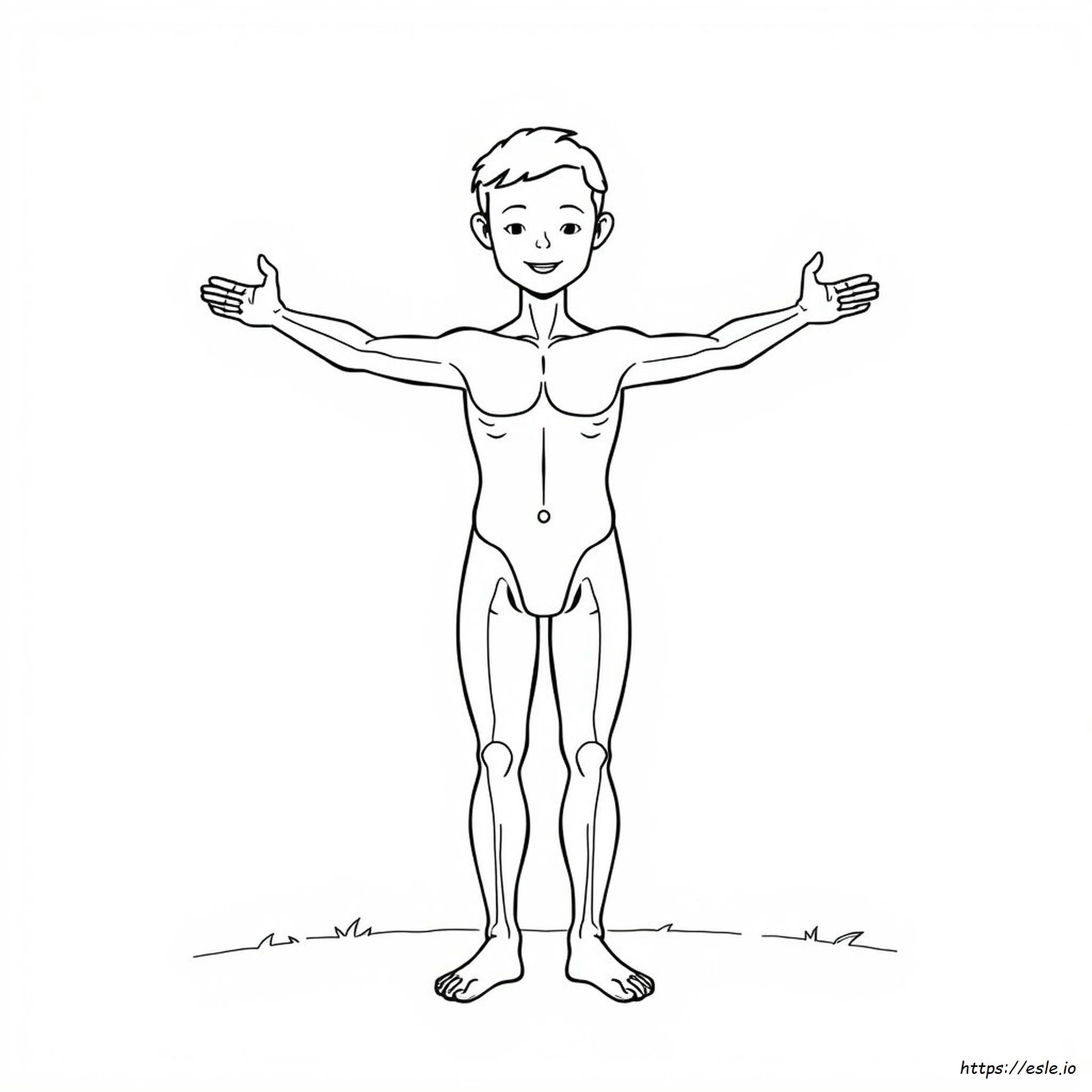 Coloriage Parties Du Corps Humain