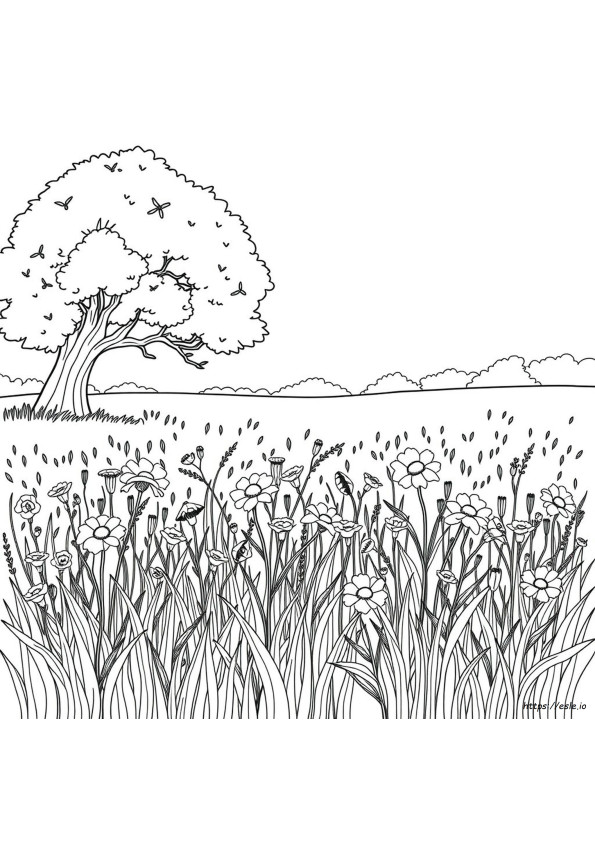 Desenhos Da Natureza Para Colorir
