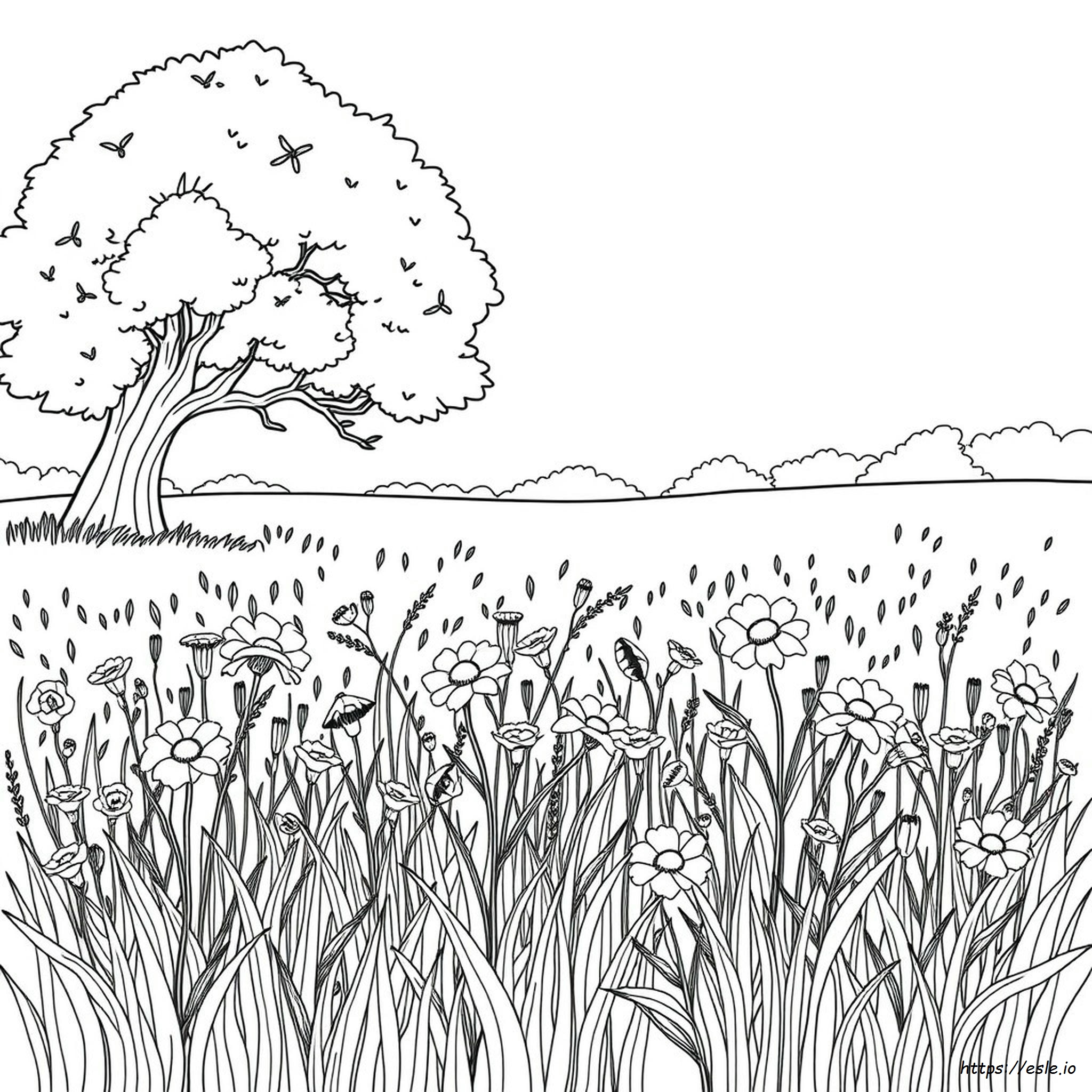 Dibujos Para Colorear De La Naturaleza