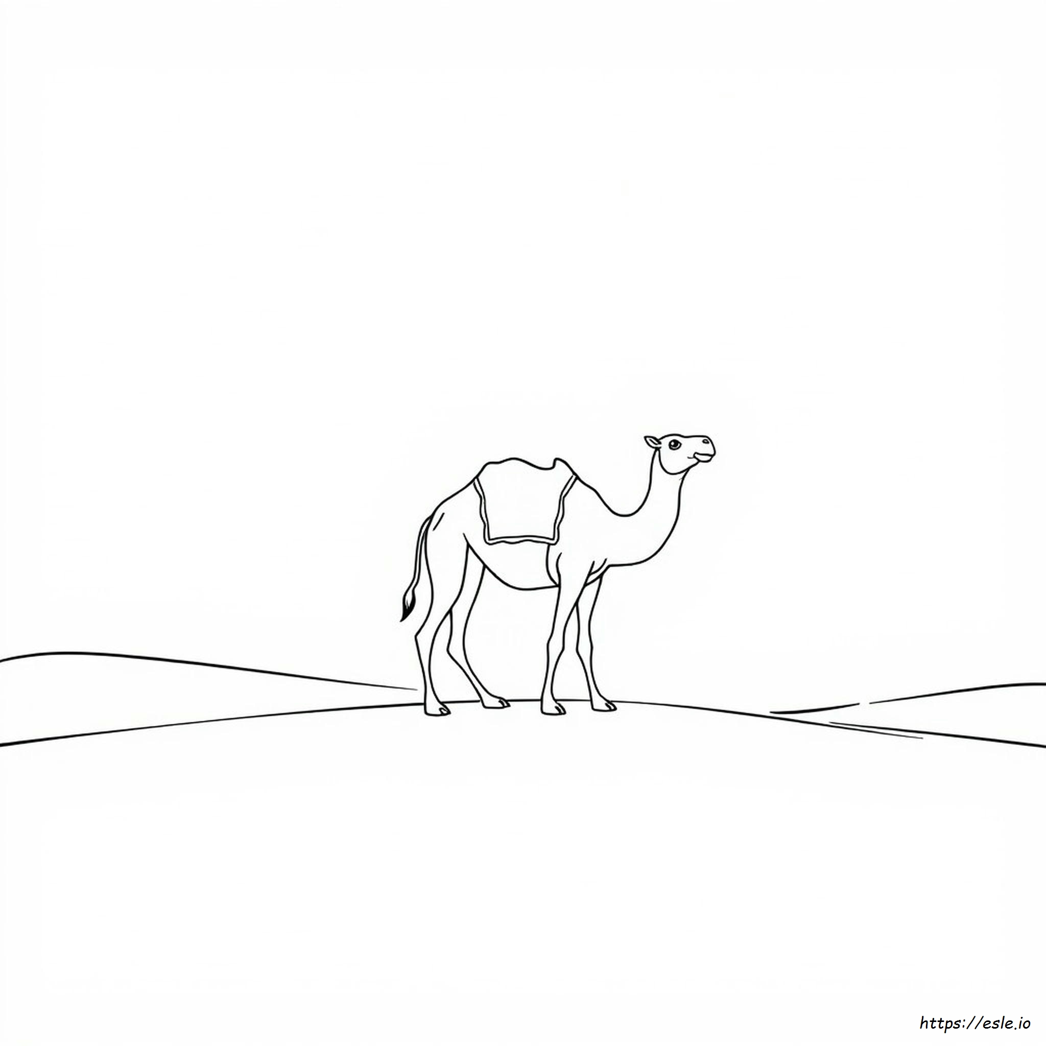 Colouring Pages Of Camel