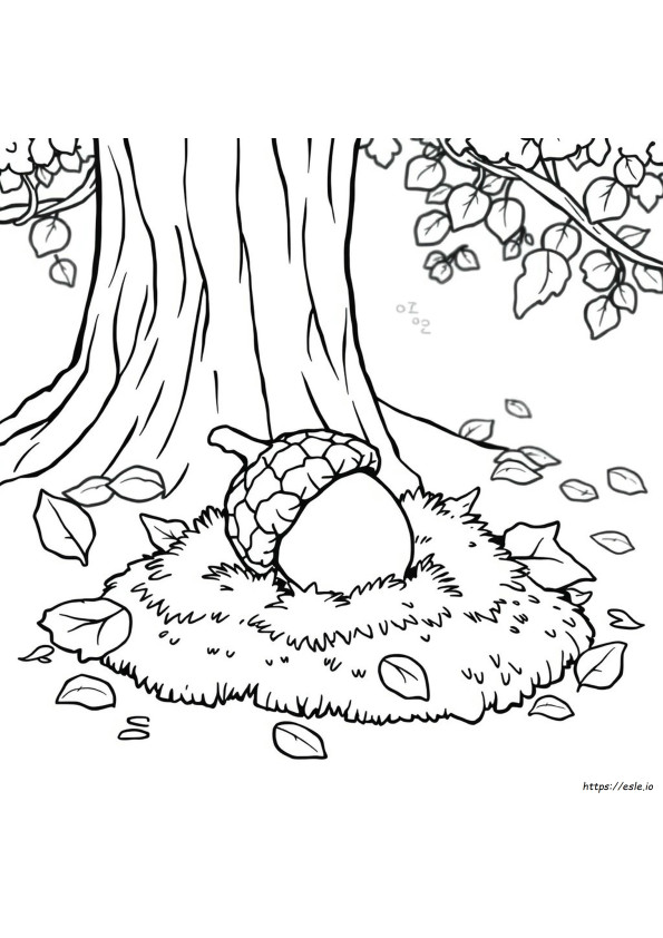 Desenho De Noz Para Colorir