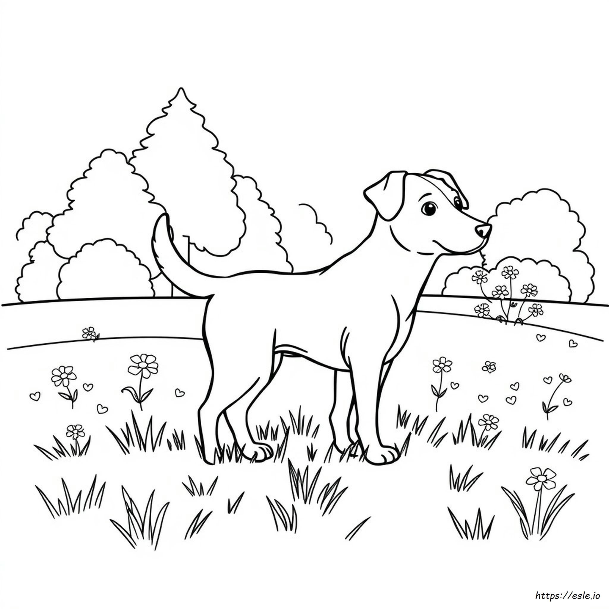 Dibujos Para Colorear Imprimibles Gratis De Perros