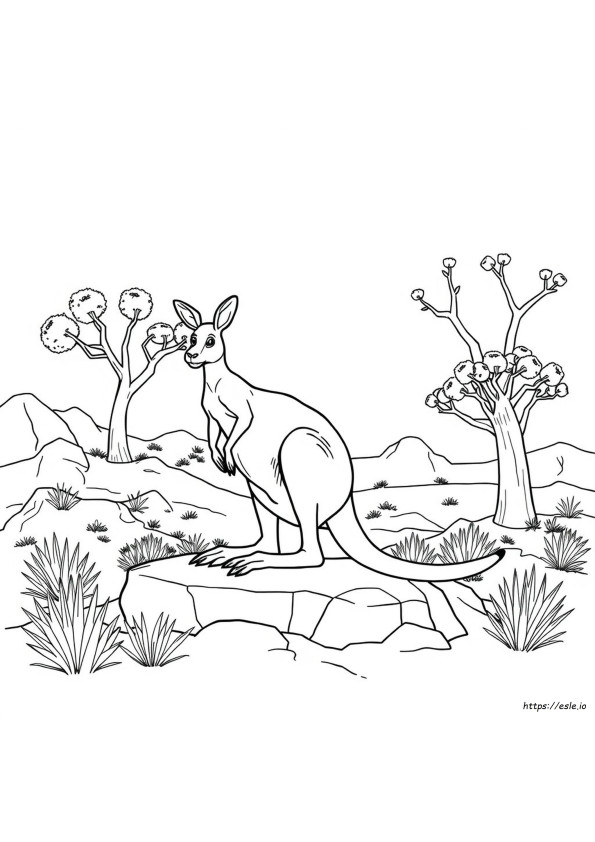 Desenhos Para Colorir De Animais Nativos Australianos