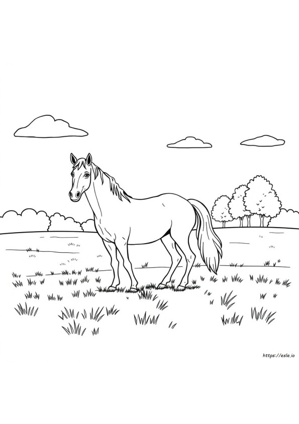Black And White Horse Coloring Pages