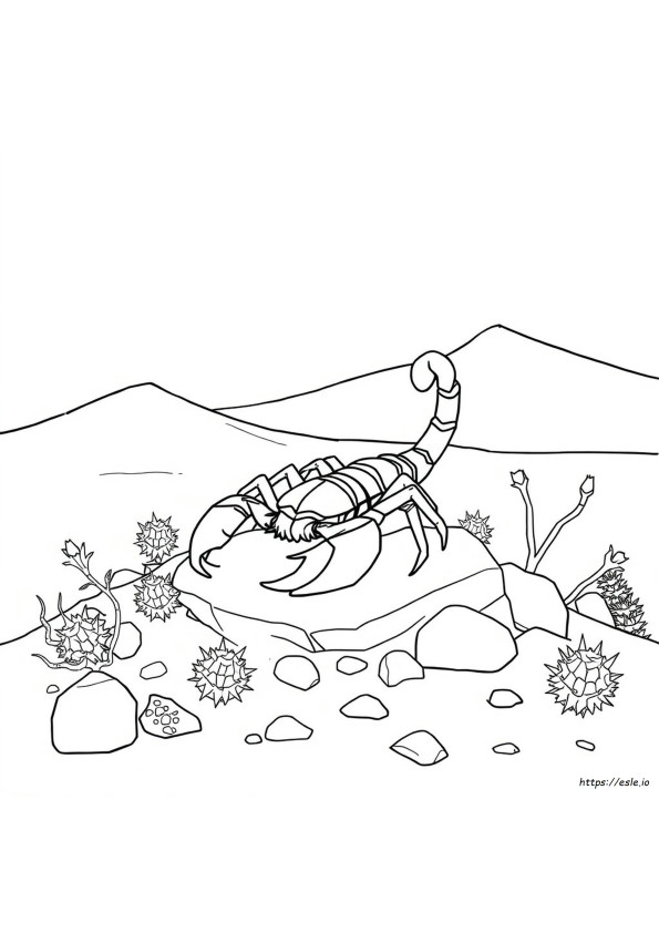 Scorpione Da Colorare