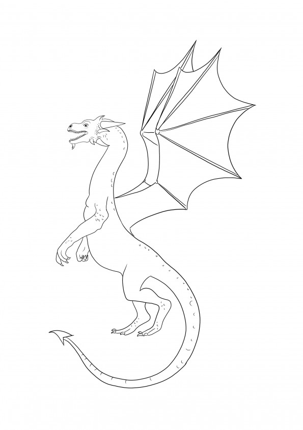 Un gran imprimible de un dragón volador para colorear fácilmente por todos los amantes de los dragones.