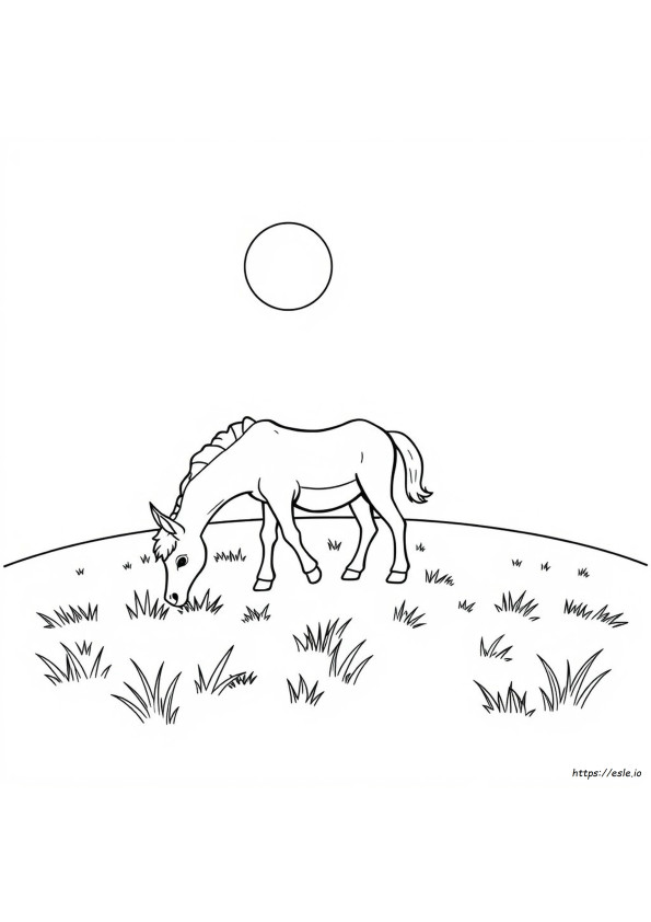 Arnab Colouring