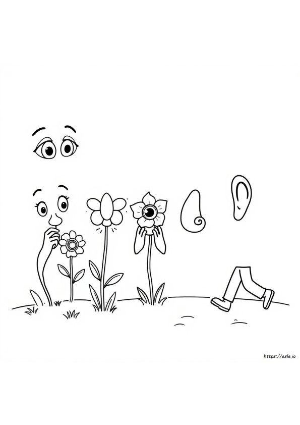 Five Senses Coloring Pages Kindergarten
