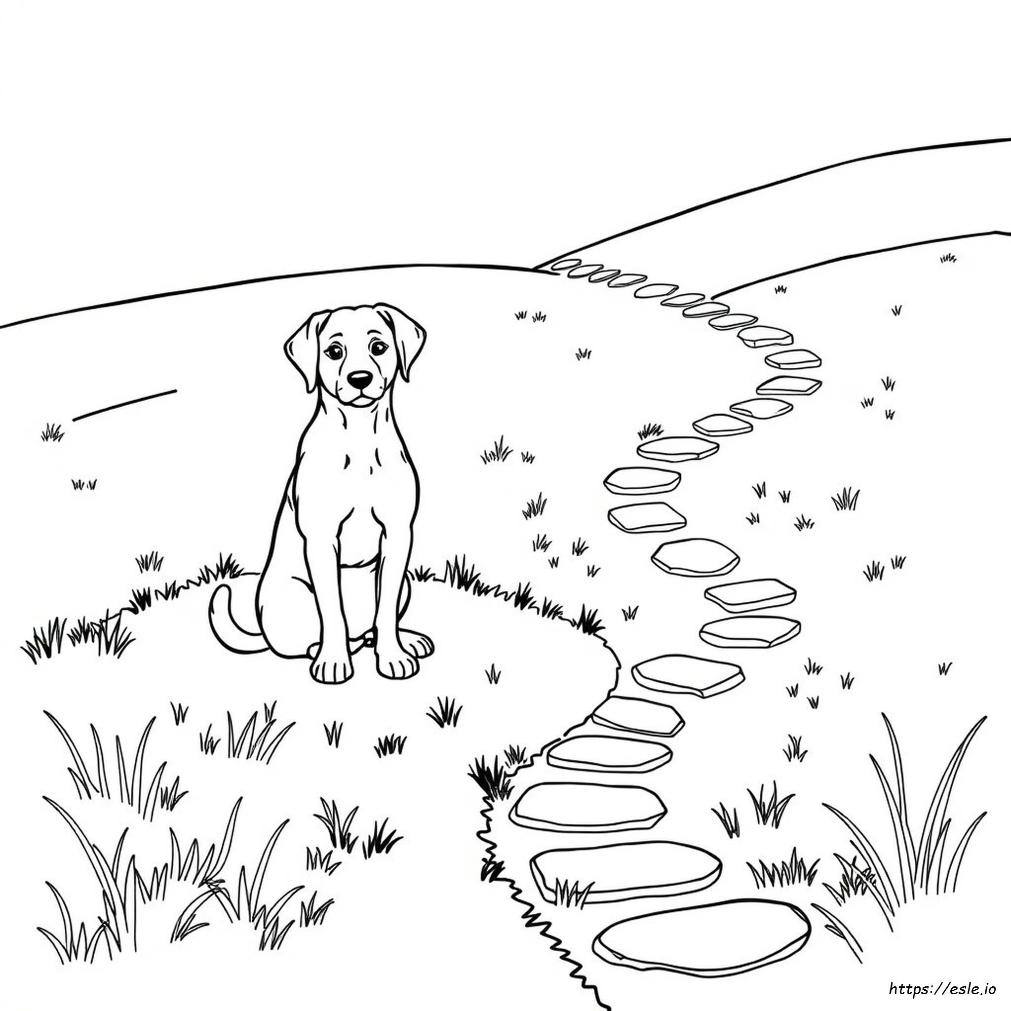 Disegni Di Cani Da Colorare Per Adulti Da Stampare