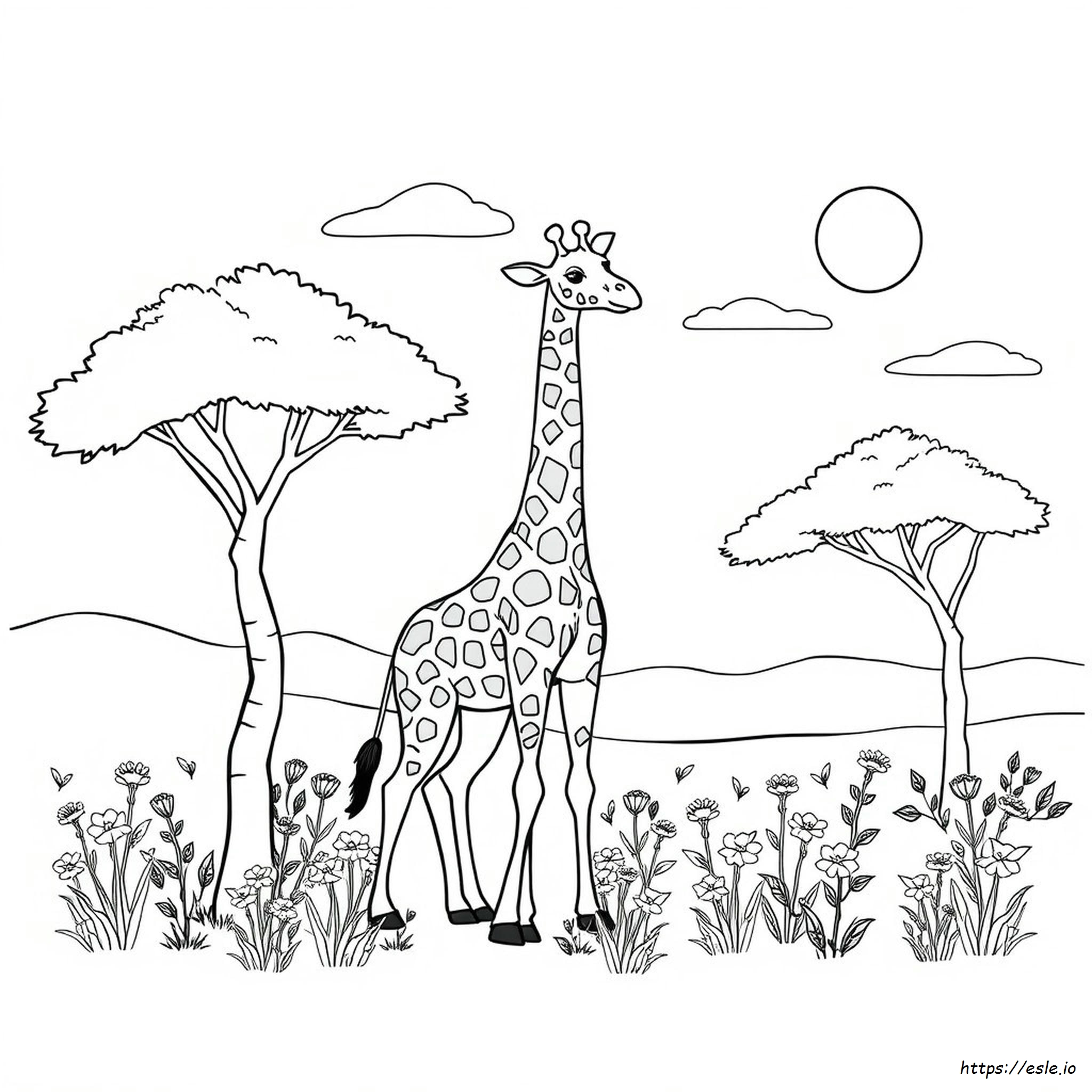 Coloring Sheets Of Giraffes