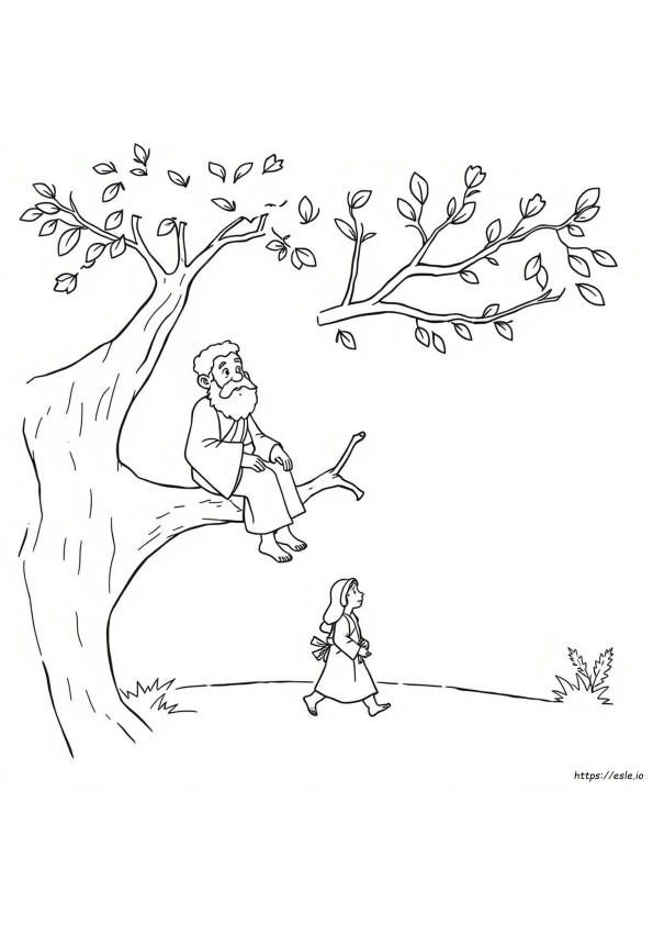 Zacchaeus Coloring Pages For Preschoolers