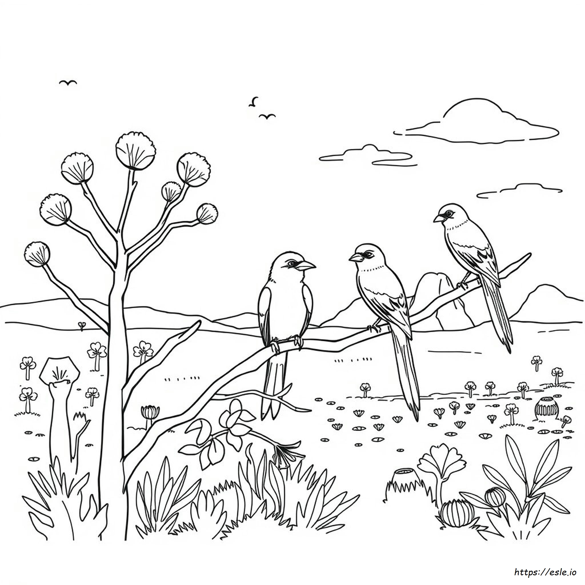 Páginas Para Colorir De Pássaros Australianos