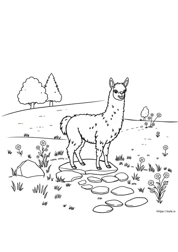 Livro De Colorir De Lhama