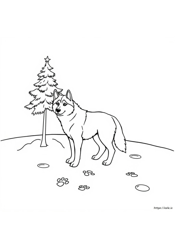 Mudah Husky Gambar Mewarnai
