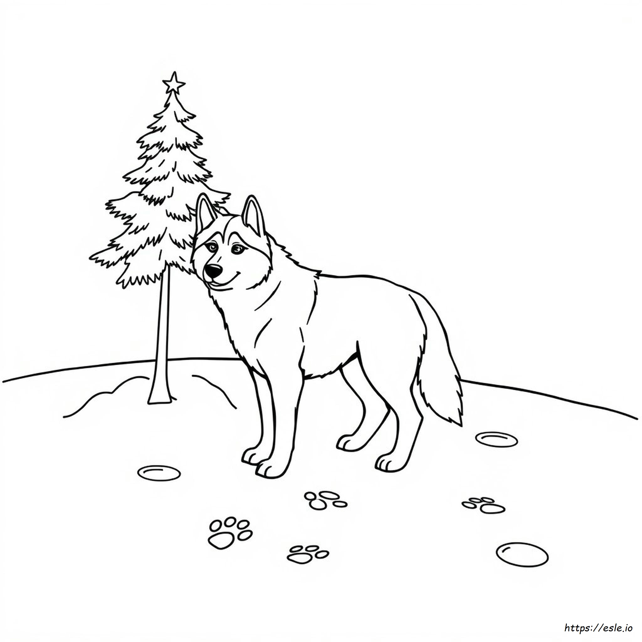 Easy Husky Coloring Pages