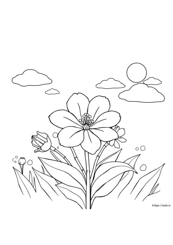 Easy Coloring Pages Of Flowers