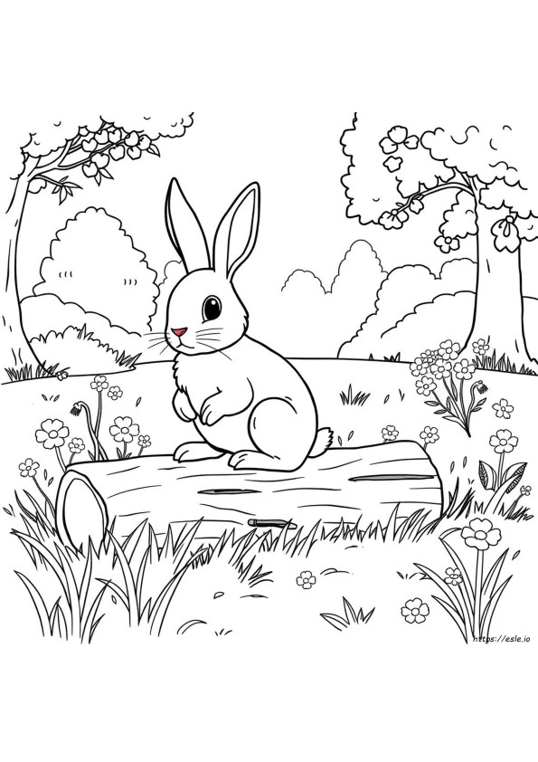 Rabbit Coloring Pages Free Printable Realistic