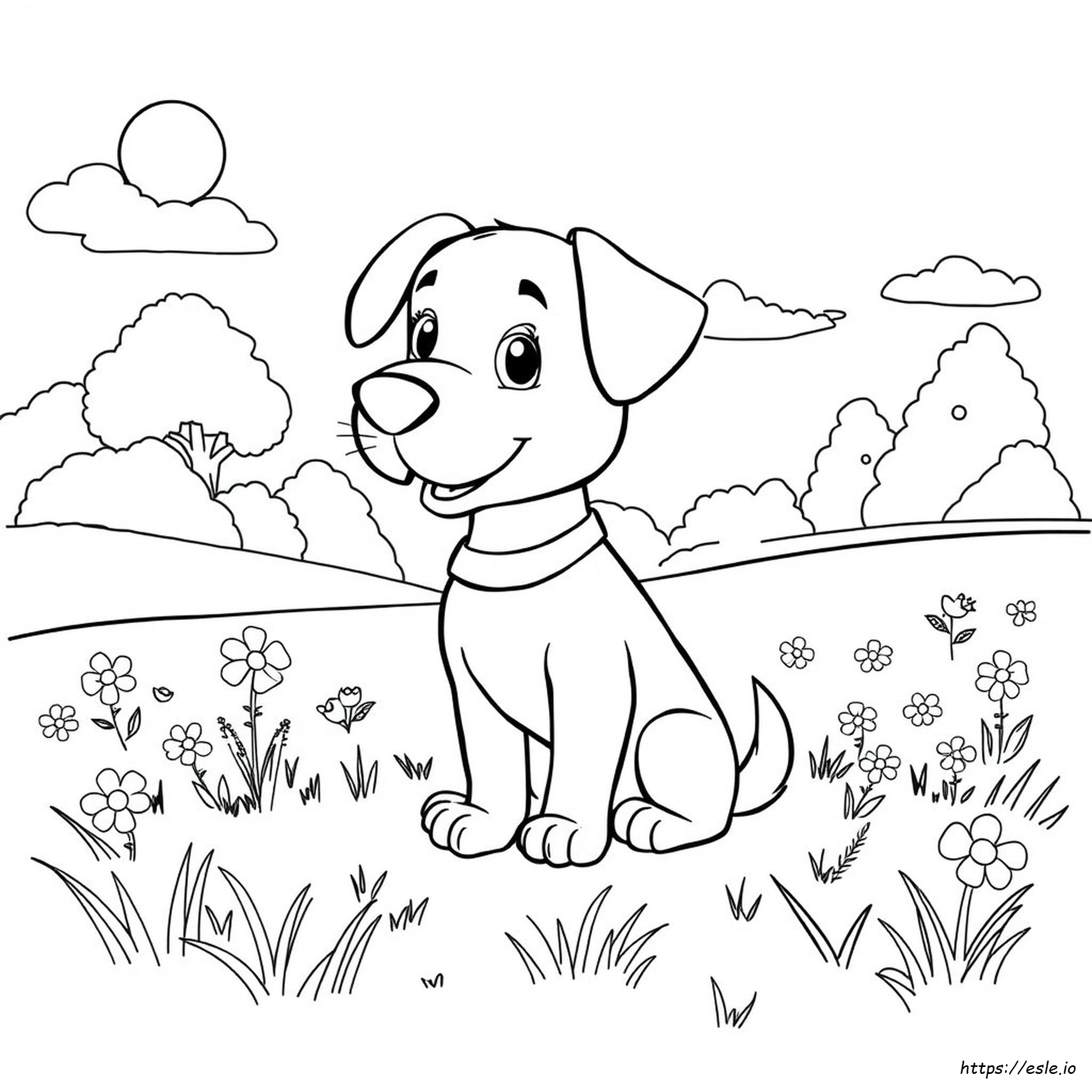Dibujos Para Colorear De Cooper