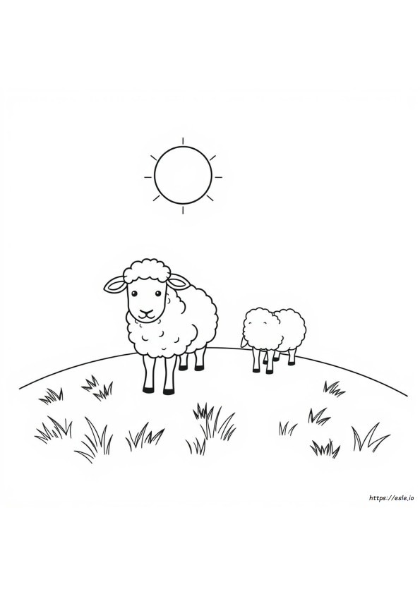 Coloriage Mouton