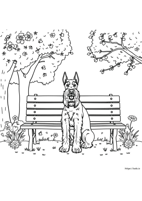 Schnauzer Ausmalbilder